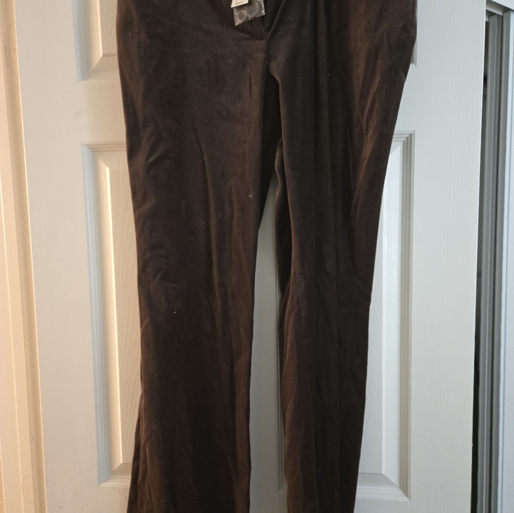 Ann Taylor LOFT size 12 marissa brown velveteen pant New with tag.